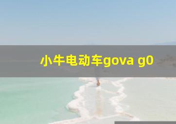 小牛电动车gova g0